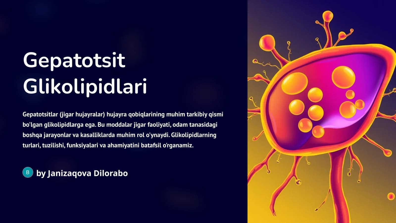 Gepatotsit Glikolipidlari