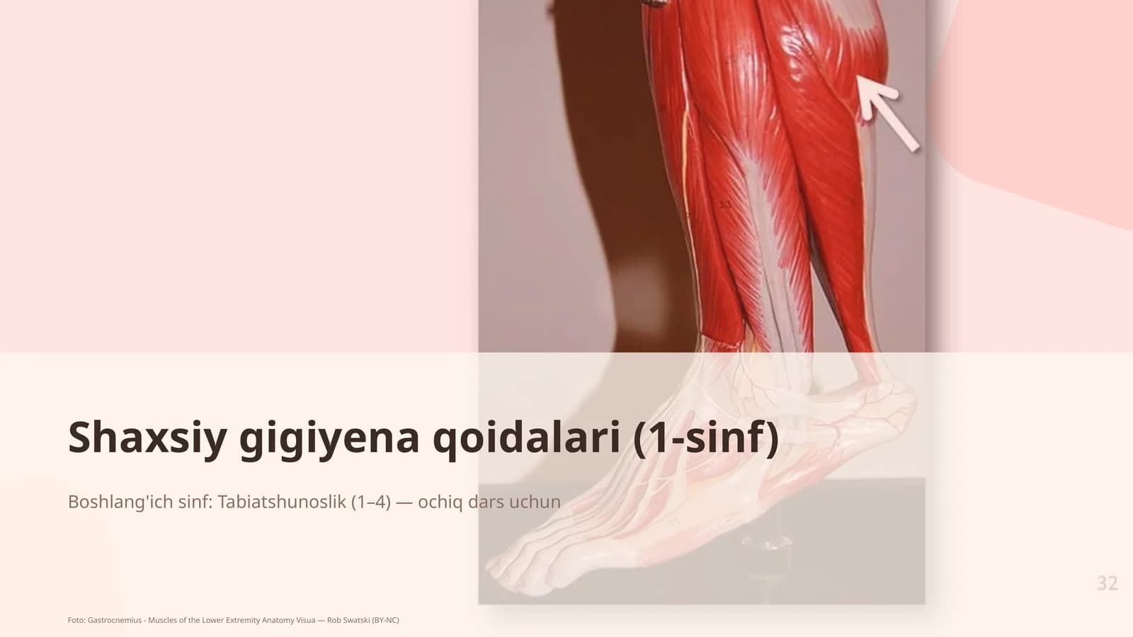 Shaxsiy gigiyena qoidalari (1-sinf)