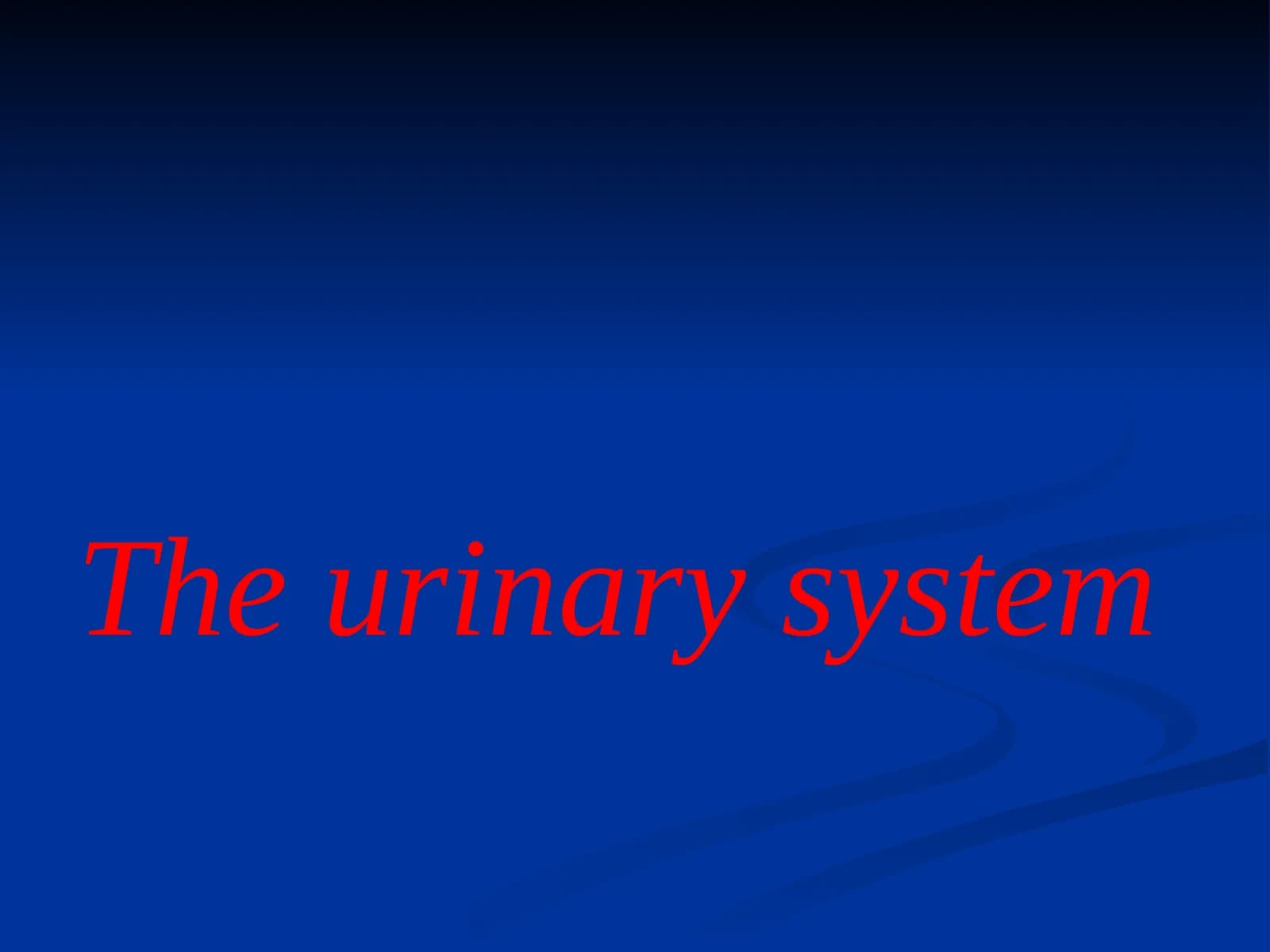 The urinary system