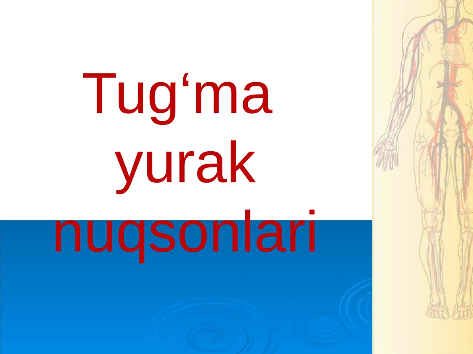 Tug‘ma yurak nuqsonlari
