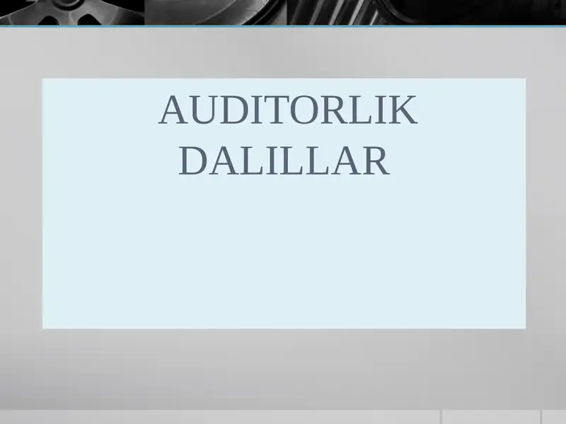 Auditorlik Dalillar