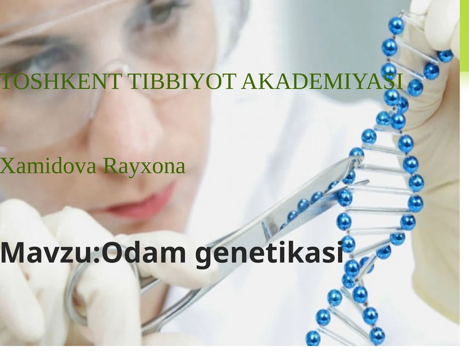 Xamidova Rayxona