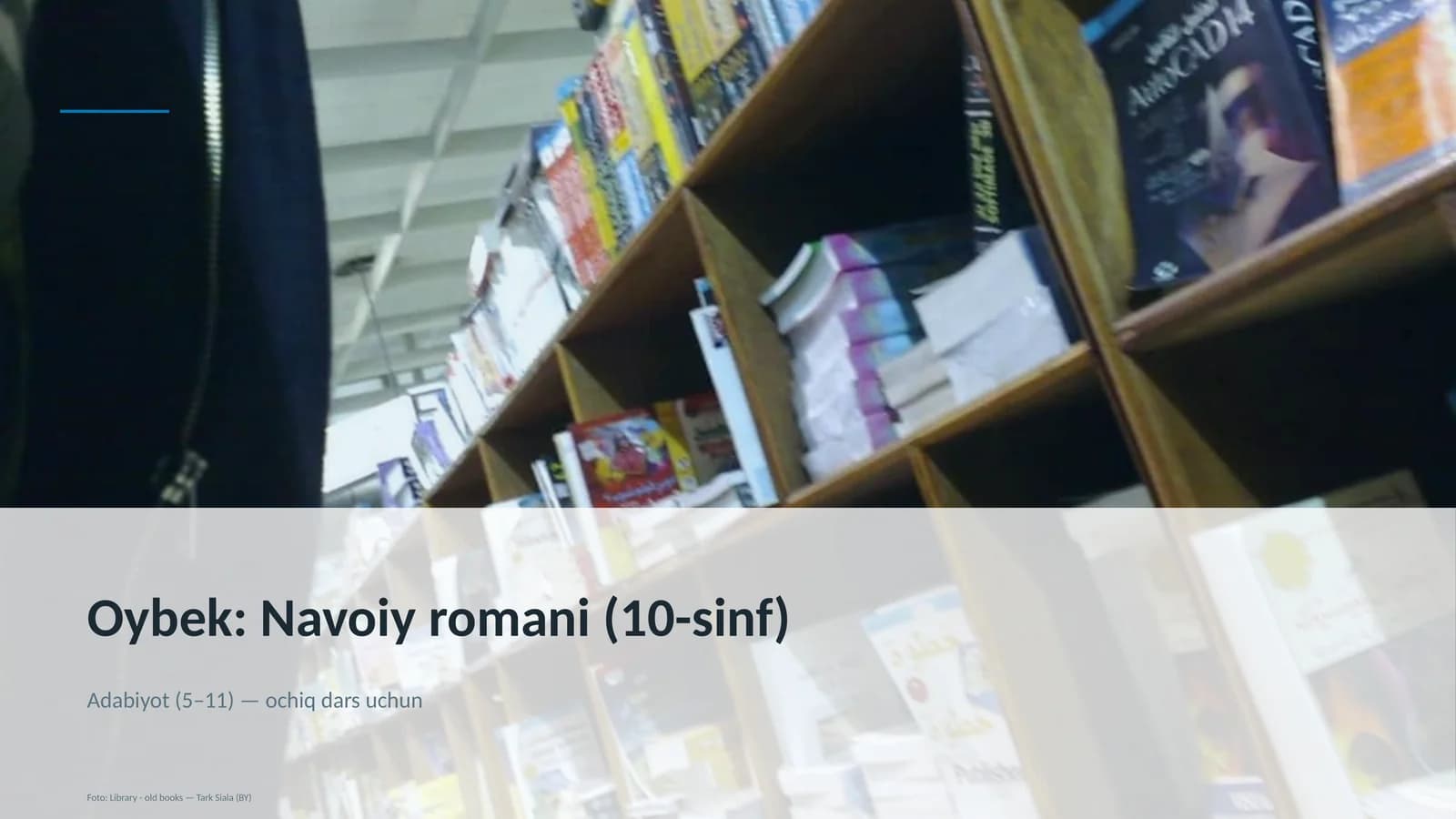 Oybek: Navoiy romani (10-sinf)