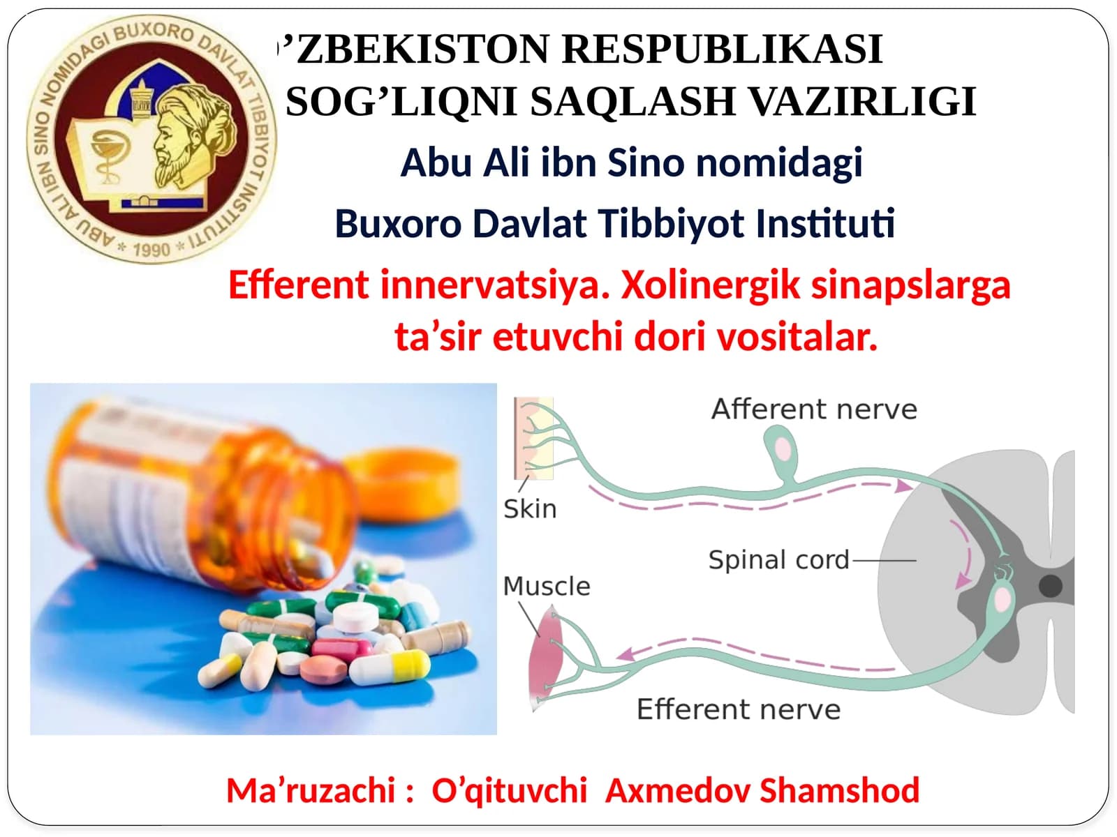 Efferentnervlargata’siretuvchidorivositalarmexanizmini oʼrganish va amaliyotda tаdbiq etish