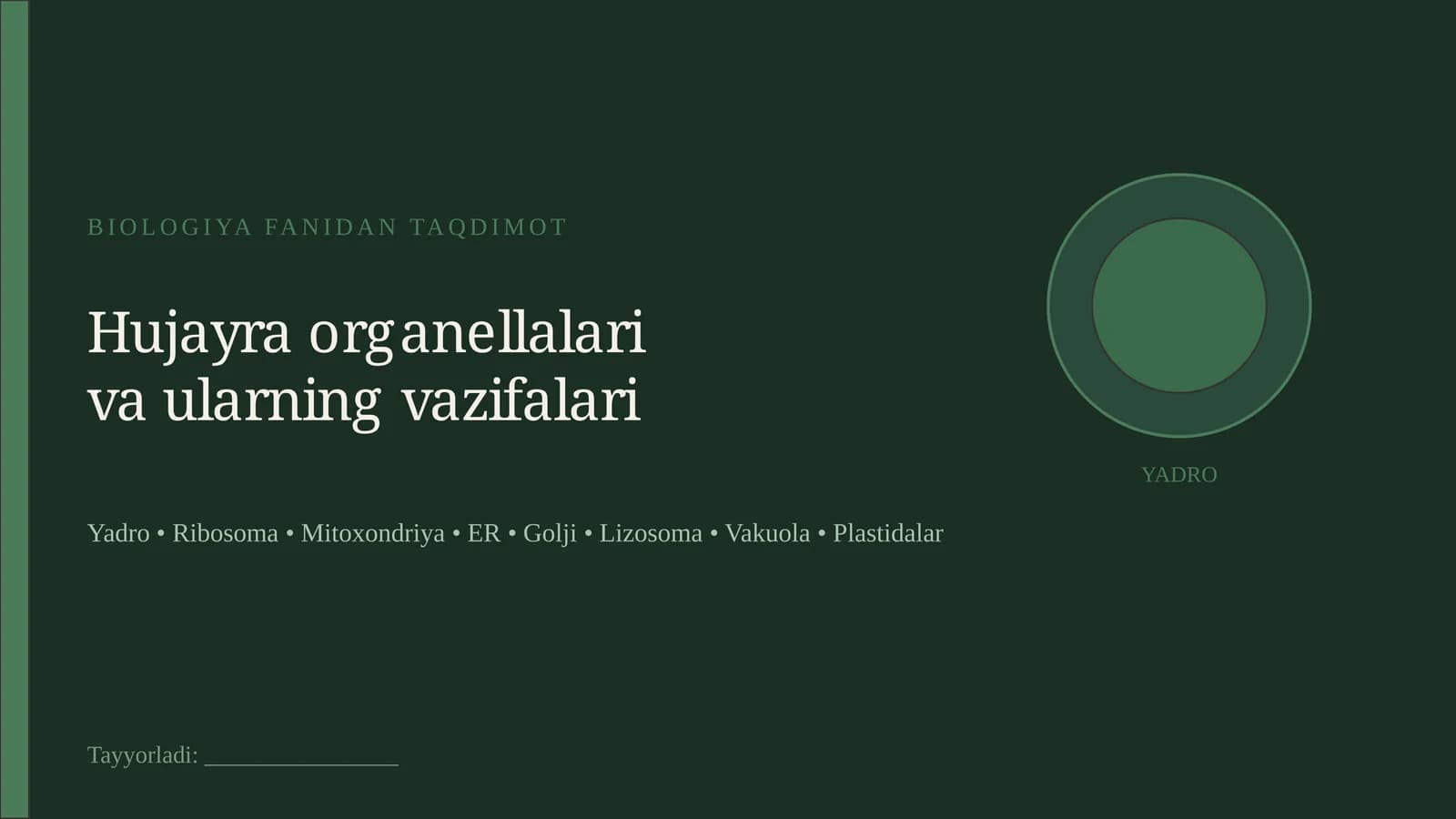 Hujayra organellalari va ularning vazifalari