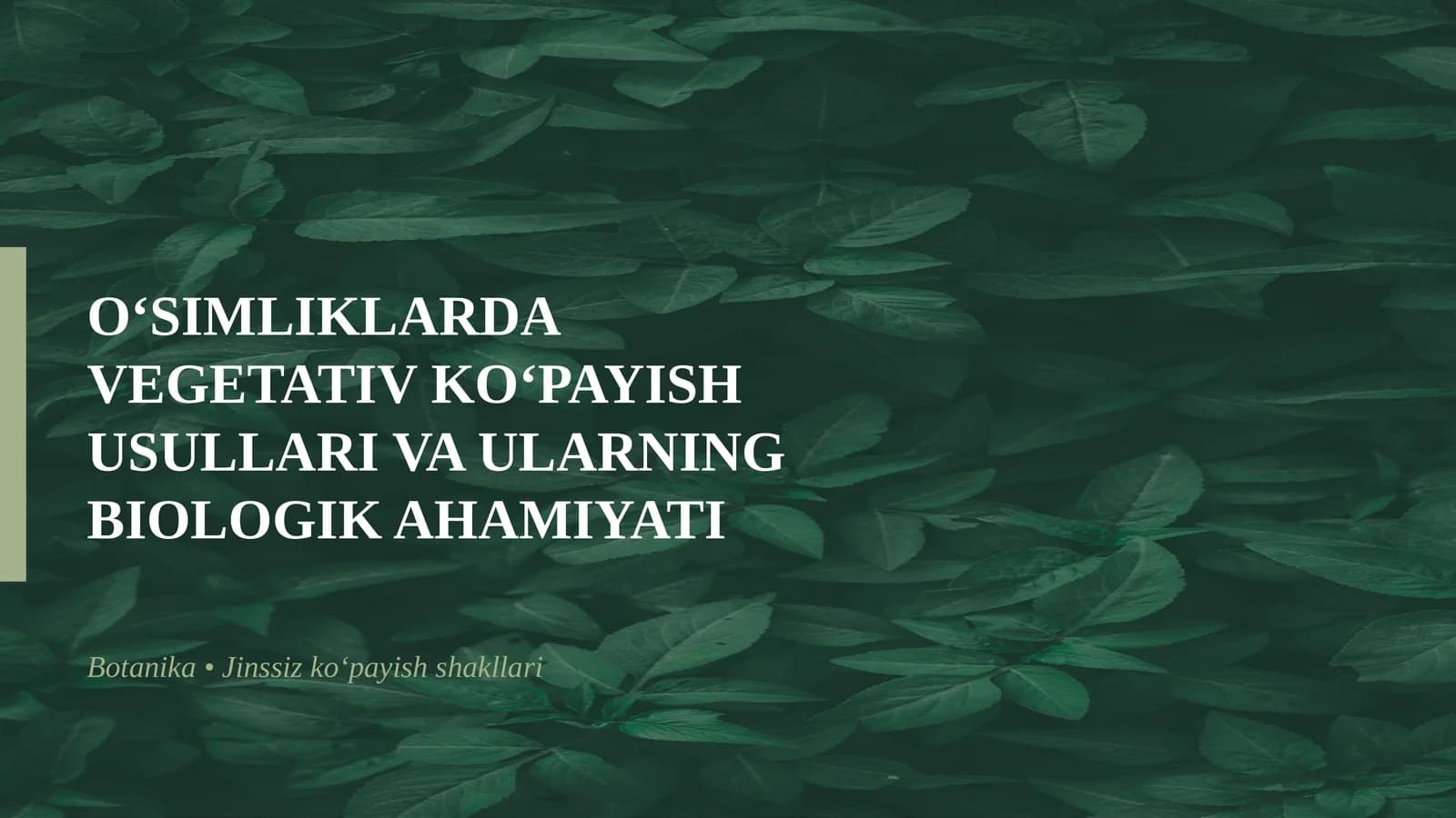 O‘SIMLIKLARDA VEGETATIV KO‘PAYISH USULLARI VA ULARNING BIOLOGIK AHAMIYATI