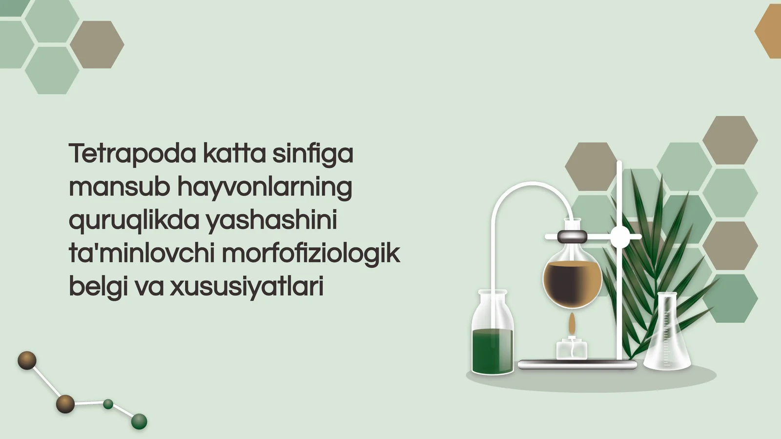 Tetrapodalar va morfofiziologik xususiyatlari