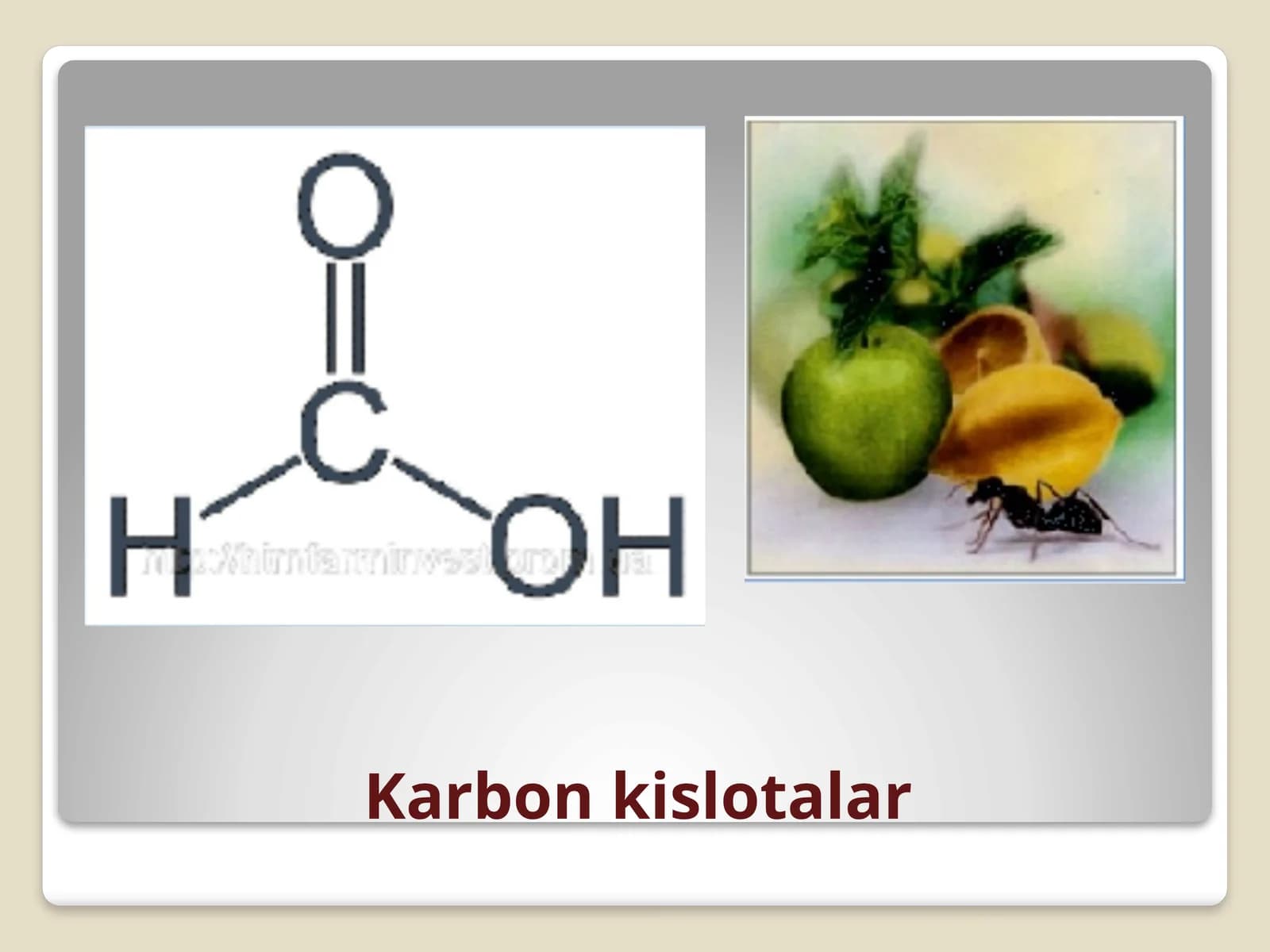 Karbonkislotalar