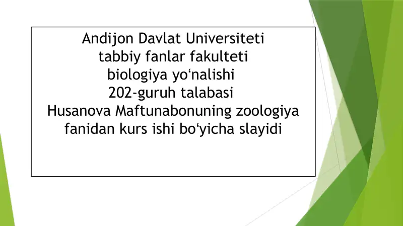 Zuluklar (Hirudinea)