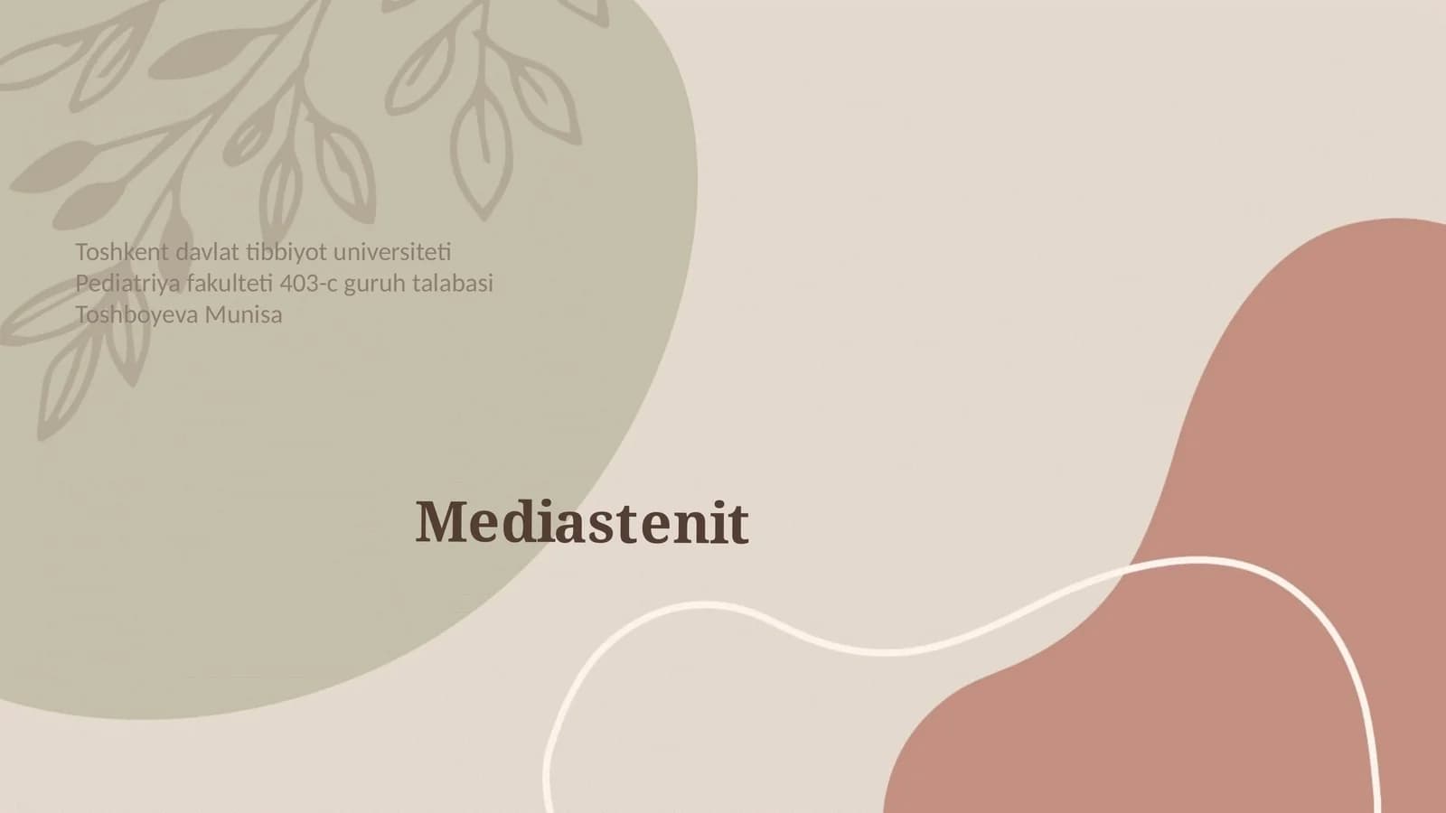 Mediastenit