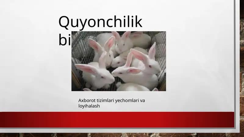 Quyonchilik biznesi
