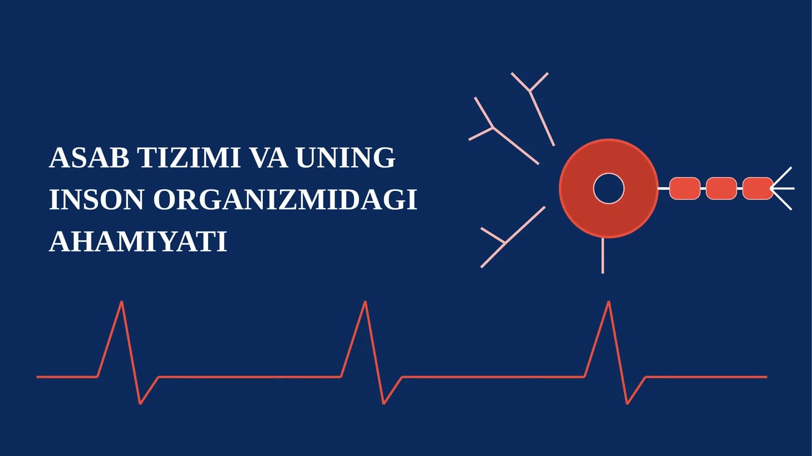 ASAB TIZIMI VA UNING INSON ORGANIZMIDAGI AHAMIYATI