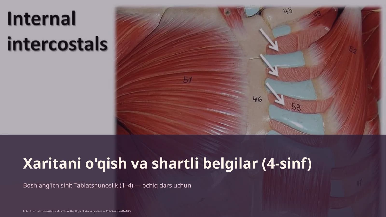 Xaritani o'qish va shartli belgilar (4-sinf)