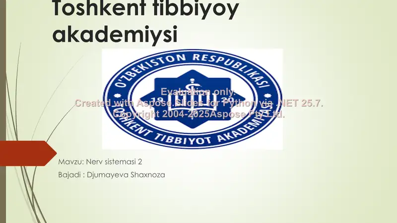Nerv sistemasi