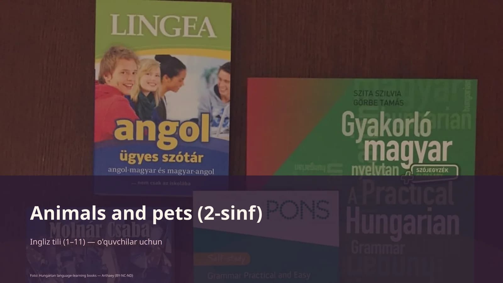 Animals va pets (2-sinf)
