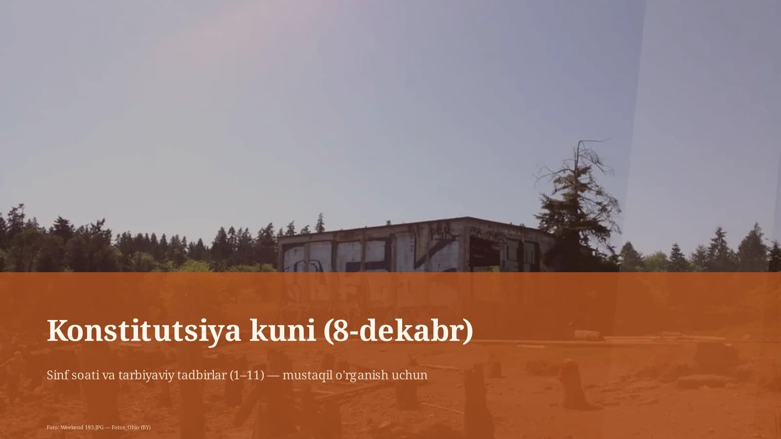 Konstitutsiya kuni (8-dekabr)