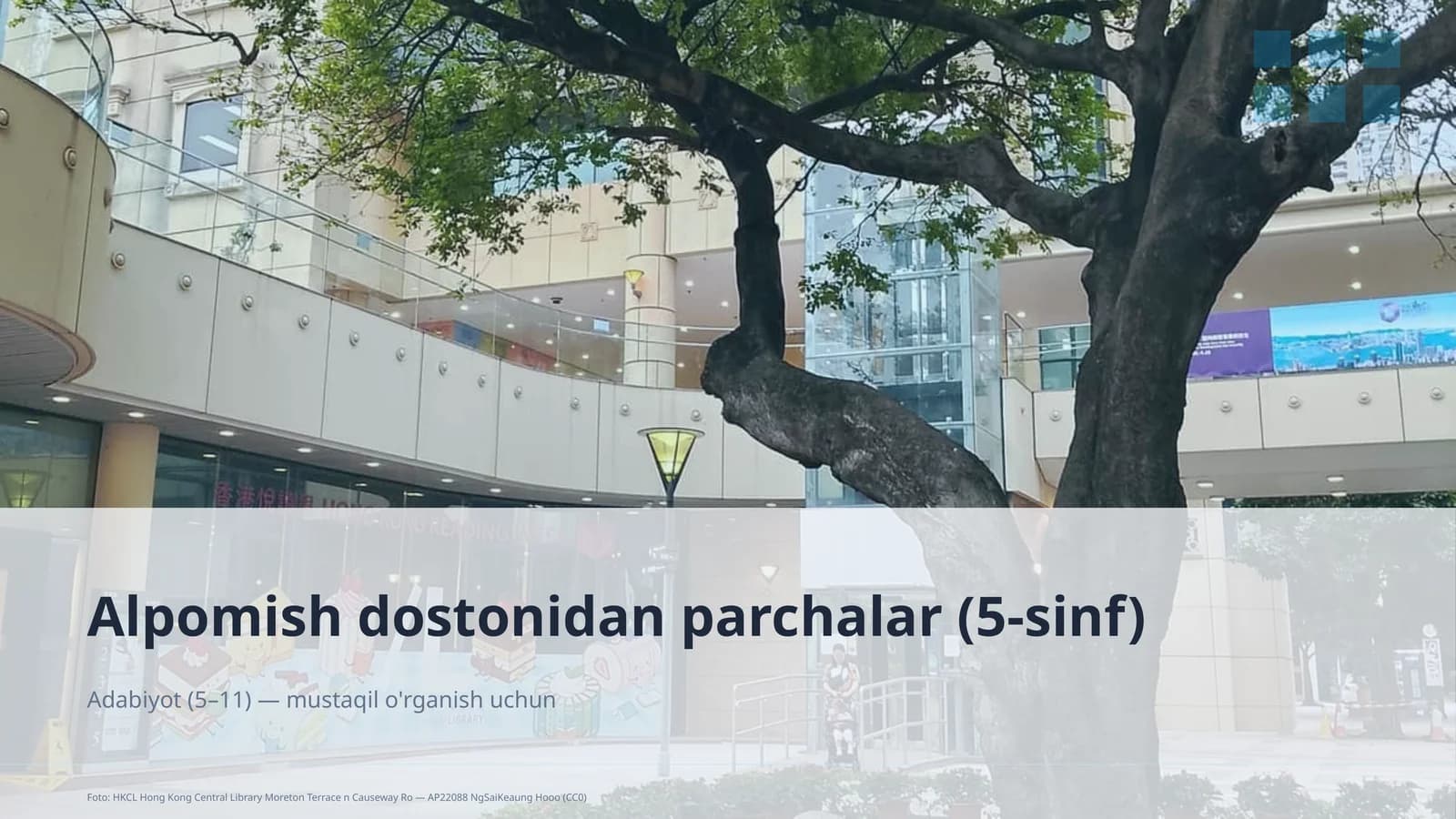 Alpomish dostonidan parchalar (5-sinf)