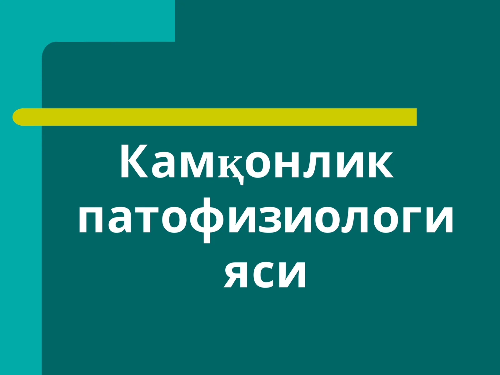 Kamqonlik patofiziologiyasi