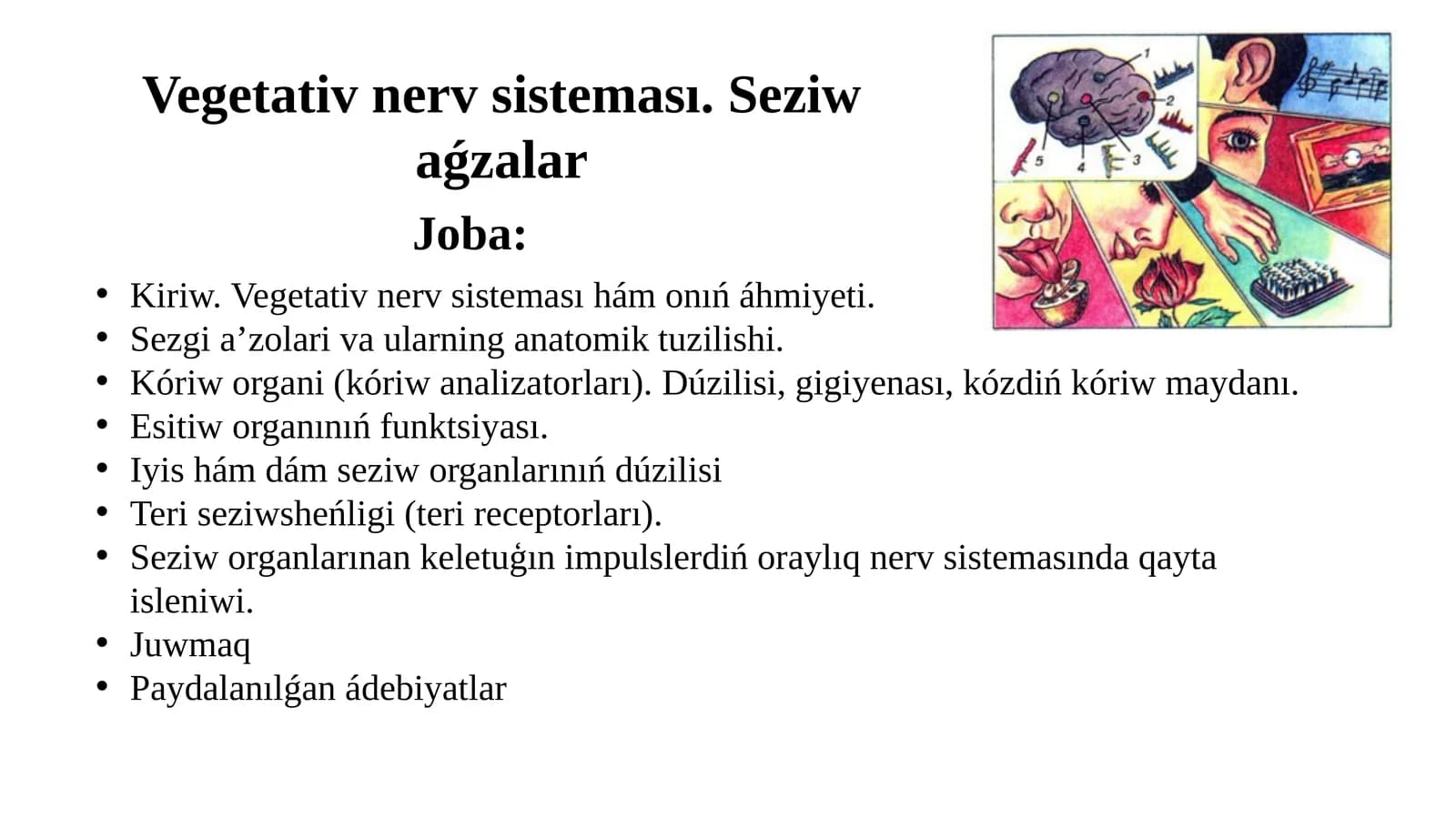 Vegetativnervsisteması.Seziwaǵzalar