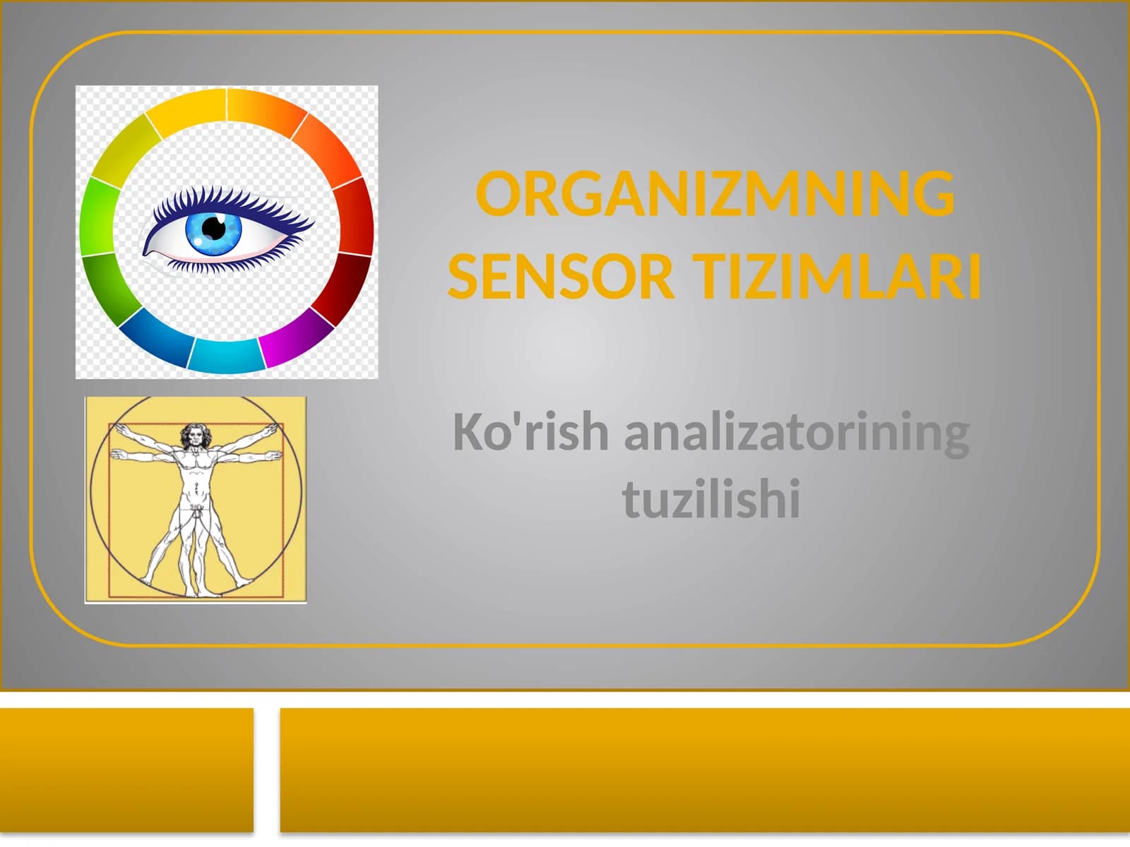 Ko'rish analizatori tuzilishi