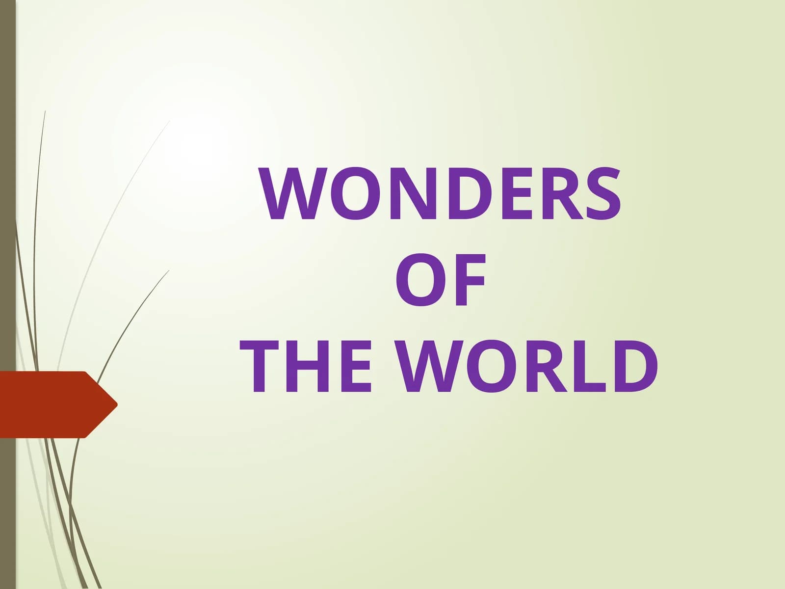 WONDER  SOFT THE WORLD