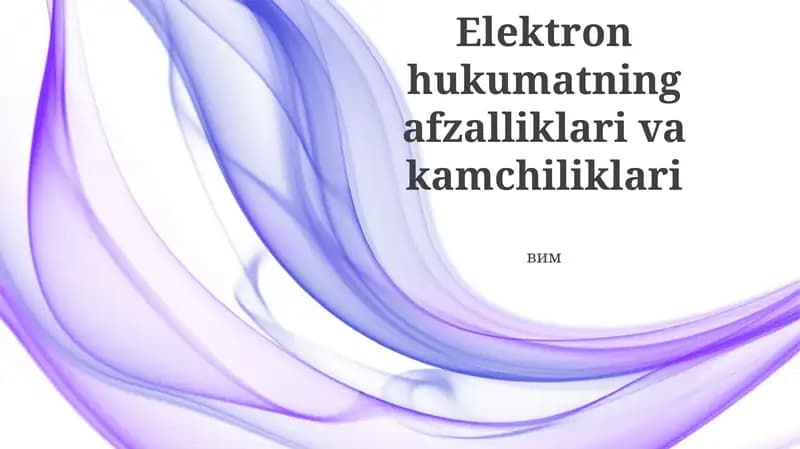 Elektron hukumatning afzalliklari va kamchiliklari