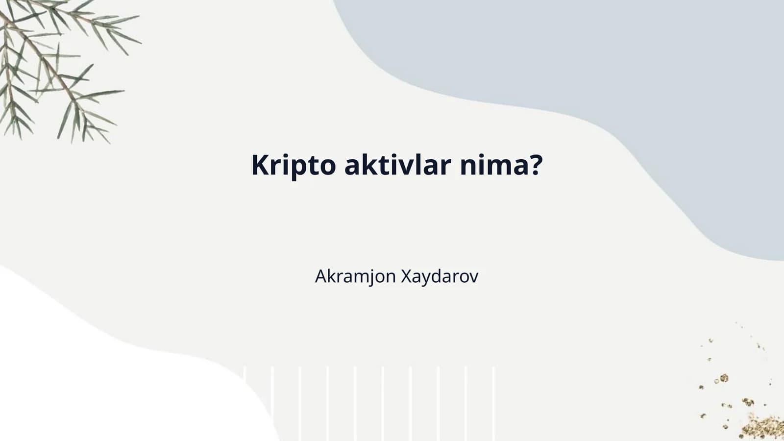 Kripto aktivlar nima?