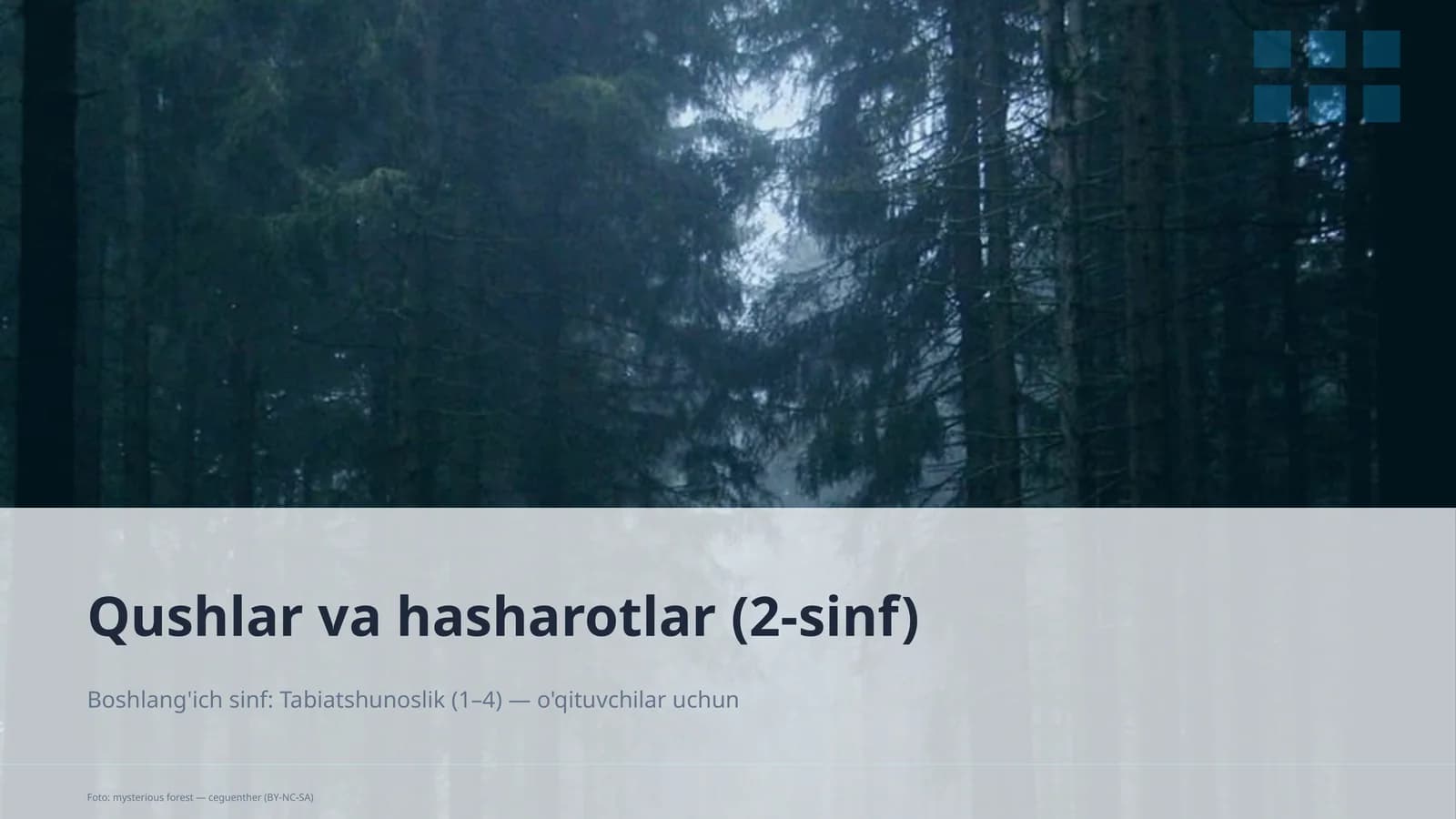 Qushlar va hasharotlar (2-sinf)