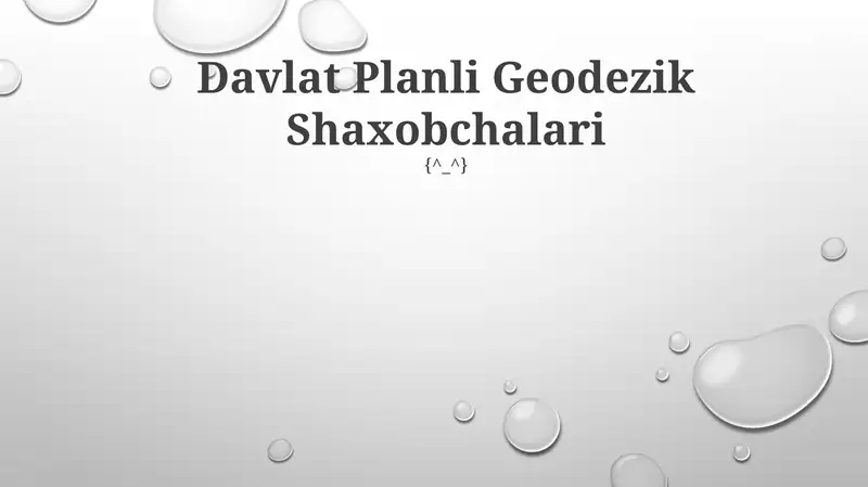 Davlat Planli Geodezik Shaxobchalari