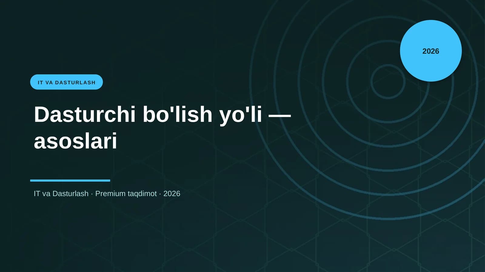 Dasturchi bo'lish yo'li — asoslari