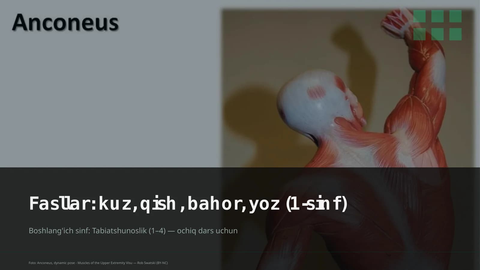 Tabiatshunoslik Dars Rejasi