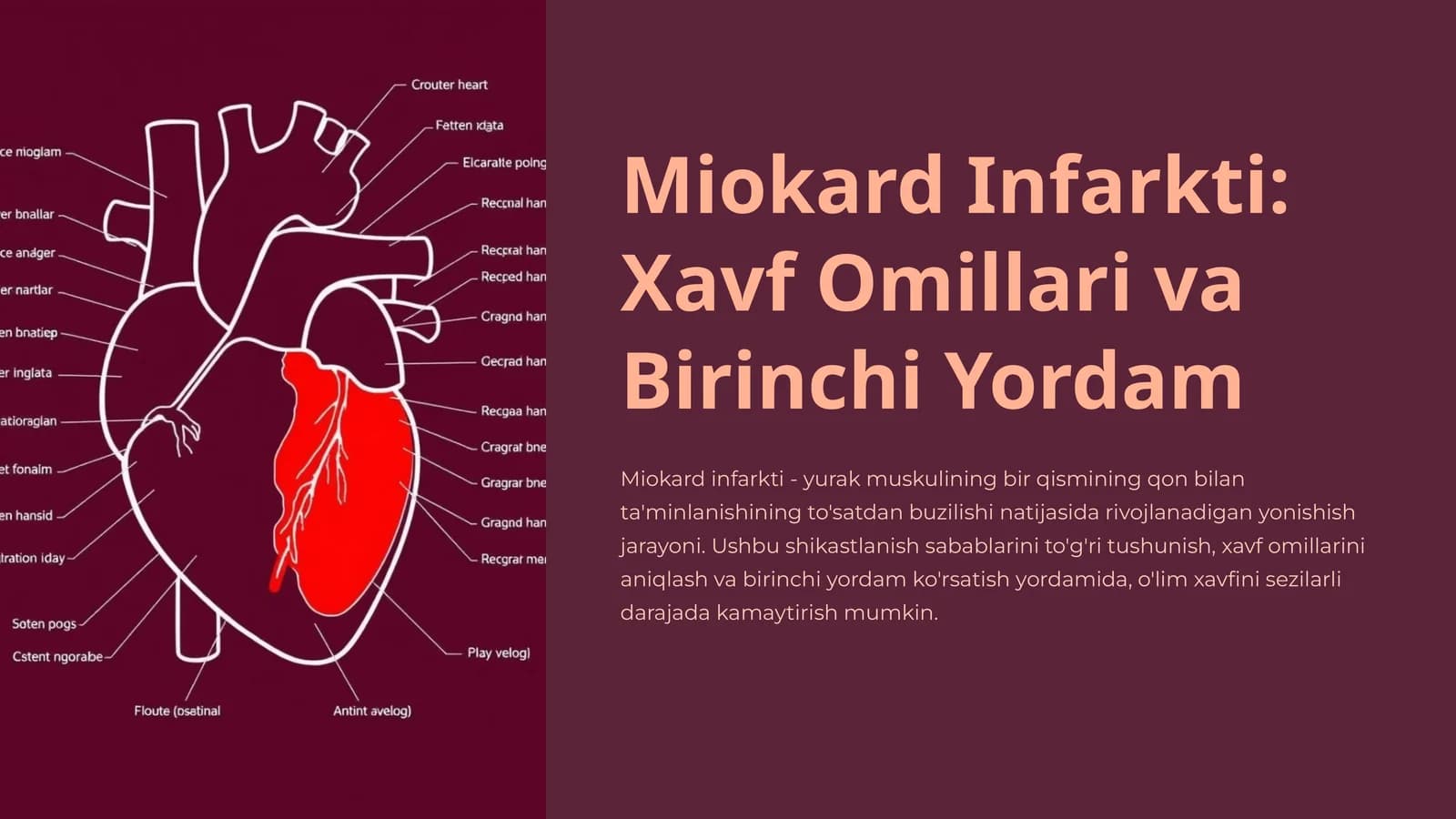 Miokard Infarkti: Xavf Omillari va Birinchi Yordam