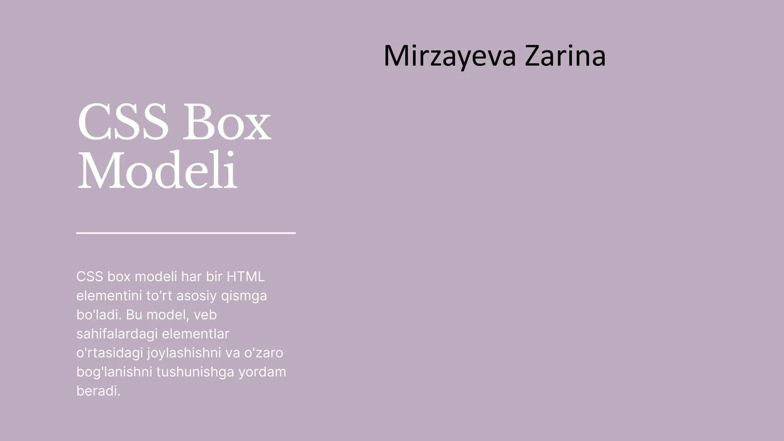 CSS Box Modeli