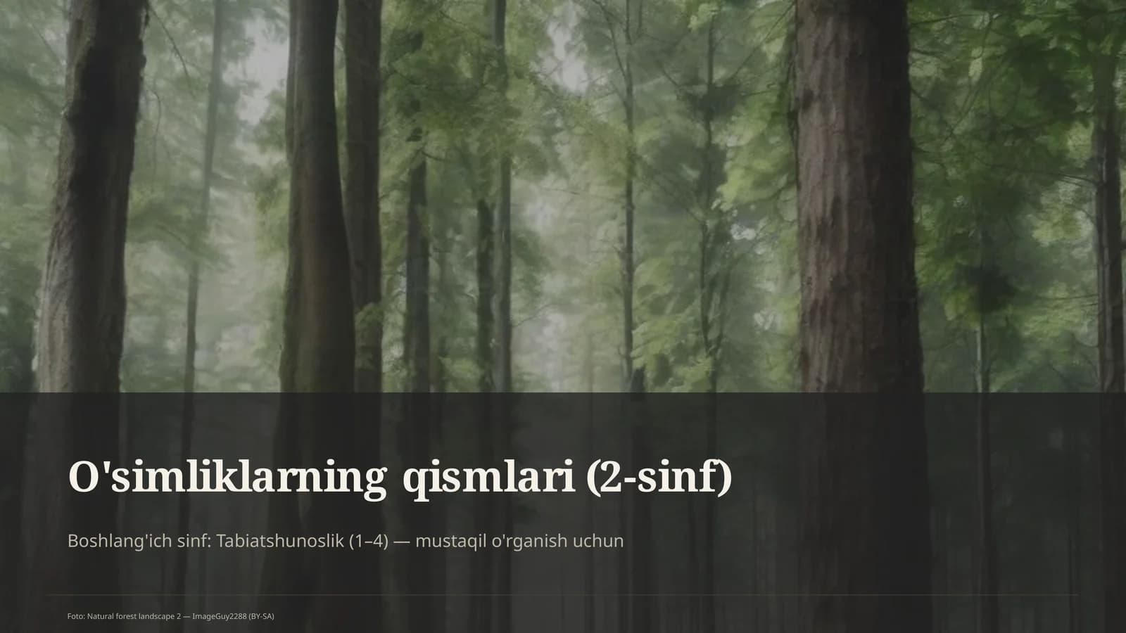O'simliklarning qismlari (2-sinf)