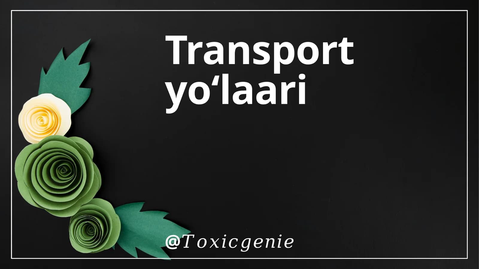 Transport Yo'llari