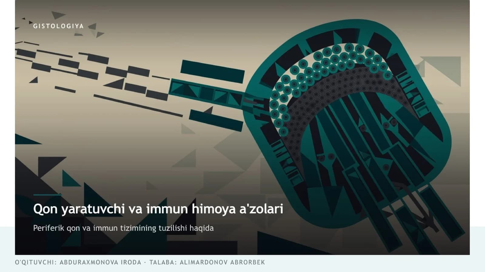 qon yaratuvchi va immun himoya azolari