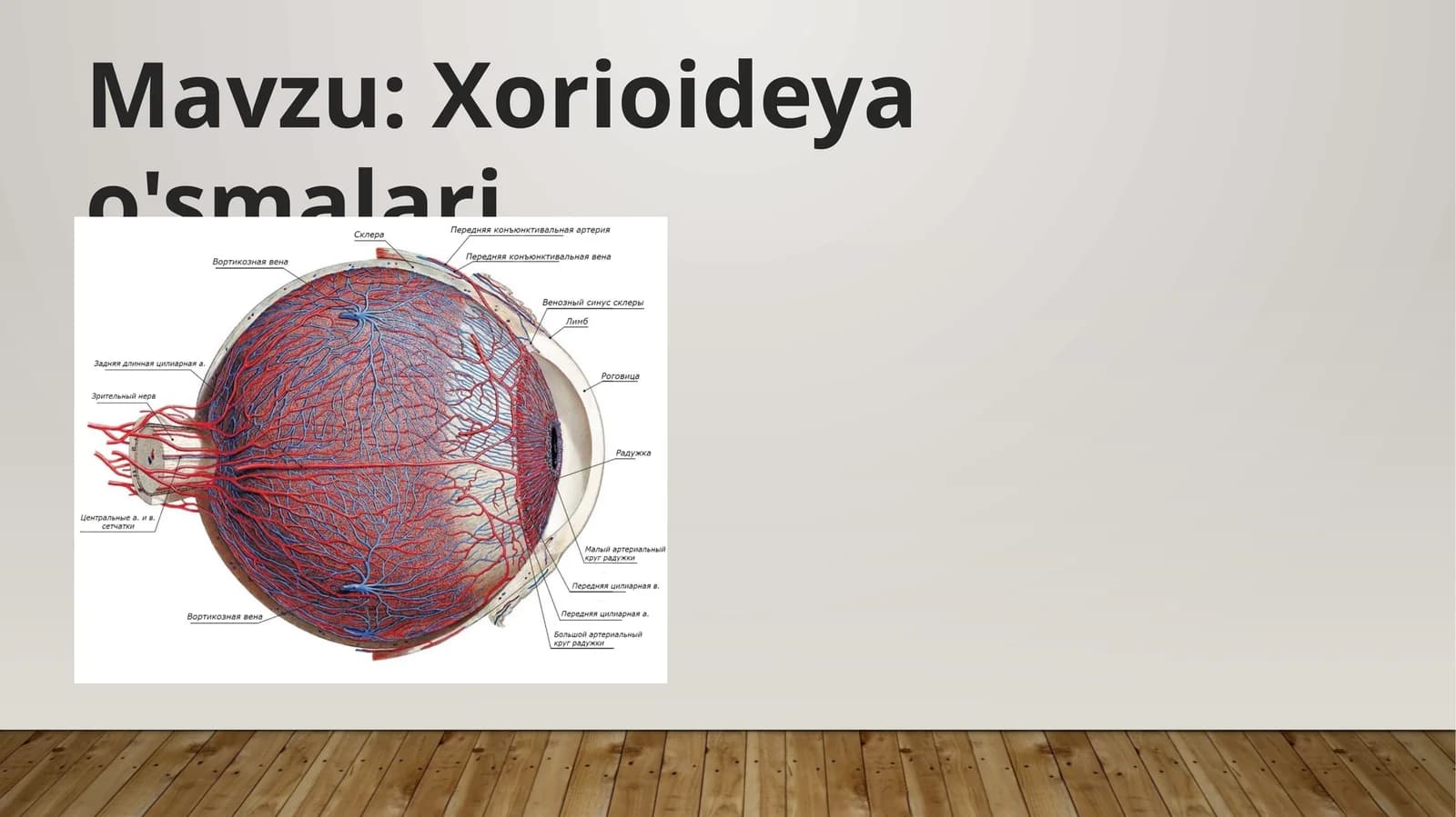 Xorioideyao'smalari