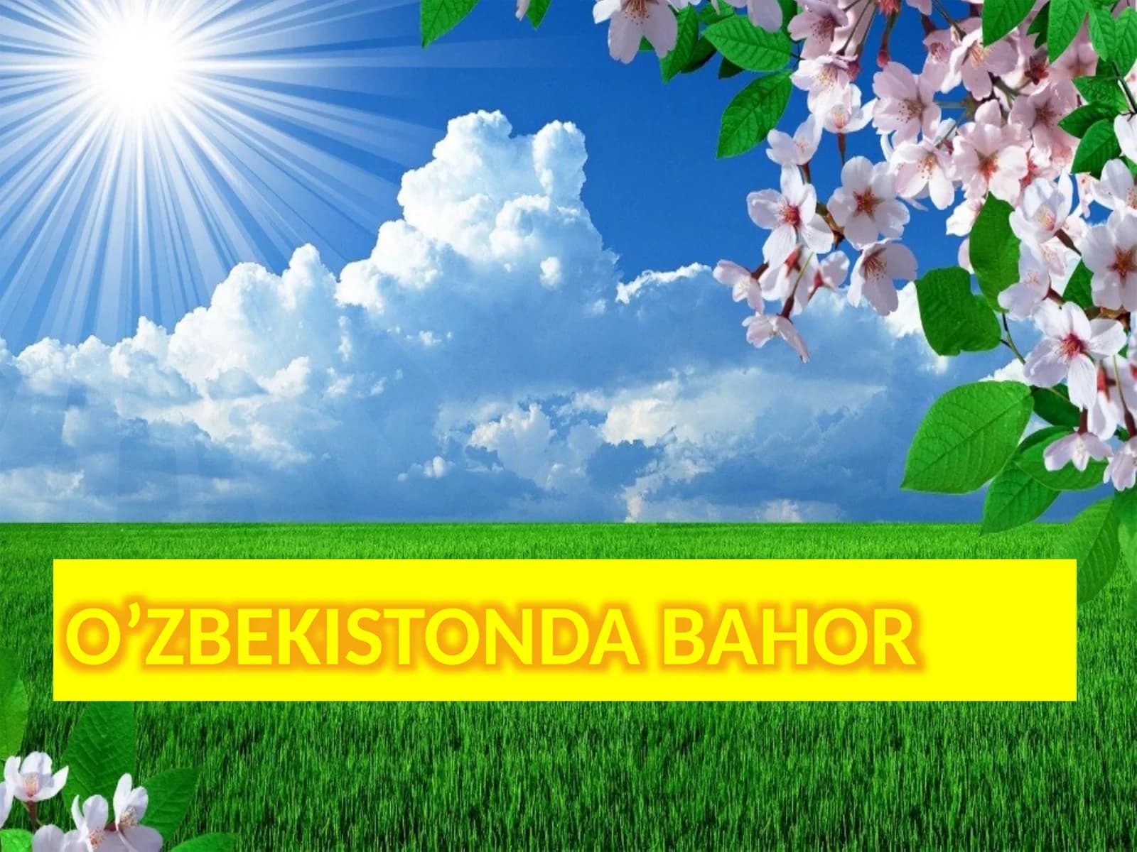 O’ZBEKISTONDA BAHOR