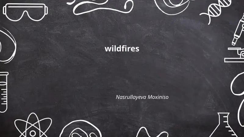 Wildfires