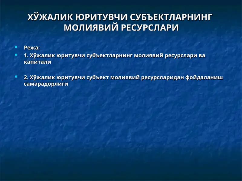 ХЎЖАЛИК ЮРИТУВЧИ СУБЪЕКТЛАРНИНГМОЛИЯВИЙ РЕСУРСЛАРИ