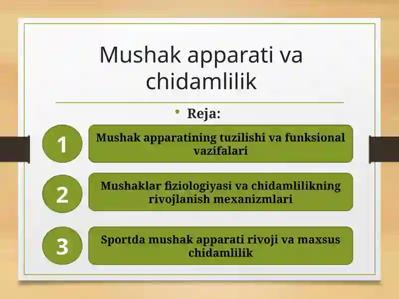 Mushak apparati va chidamlilik