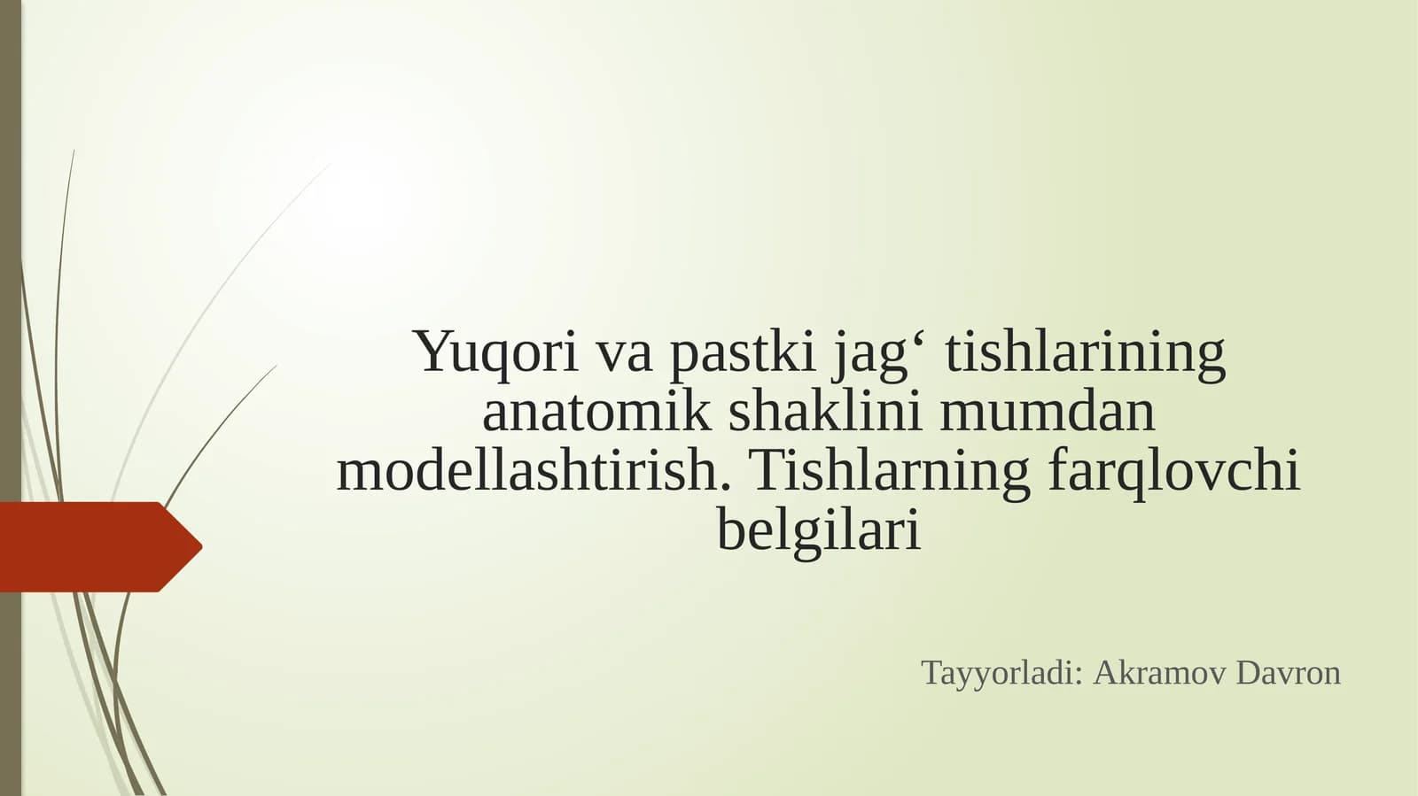 Yuqorivapastkijag‘tishlarining anatomik shaklini minimumdan modellashtirish