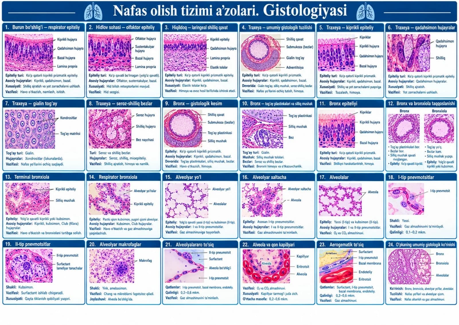 Nafas olish