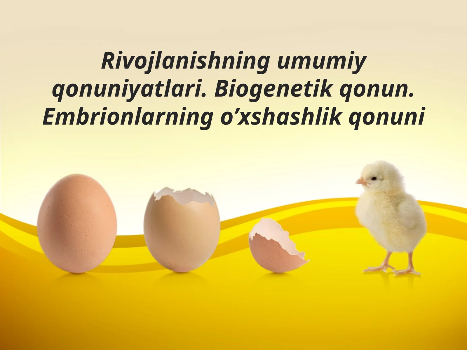 Biogenetik qonun