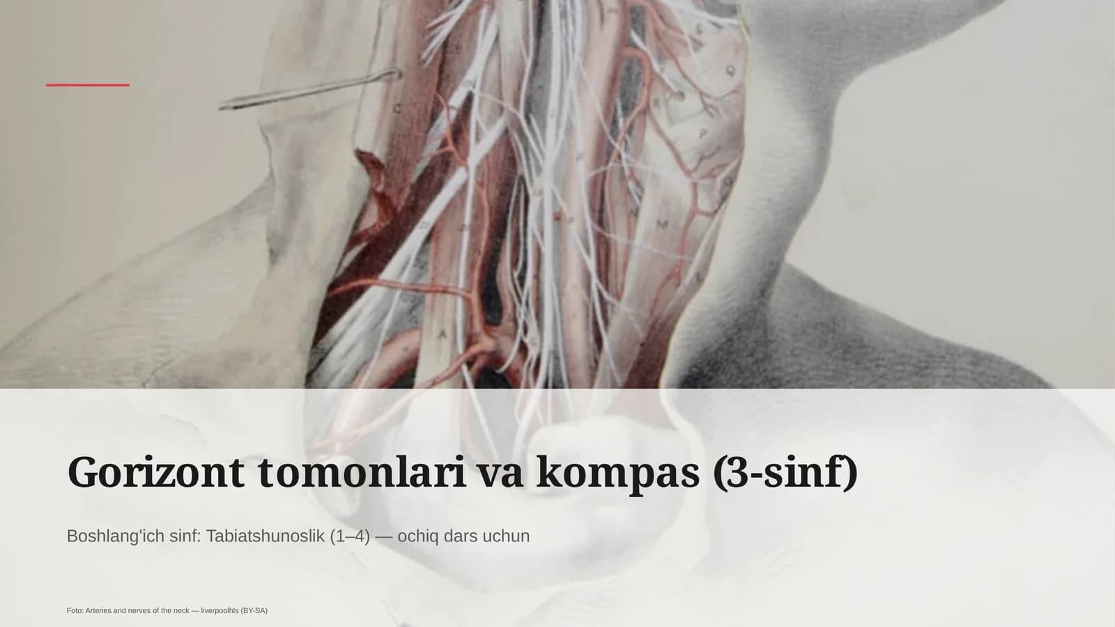 Gorizont tomonlari va kompas (3-sinf)