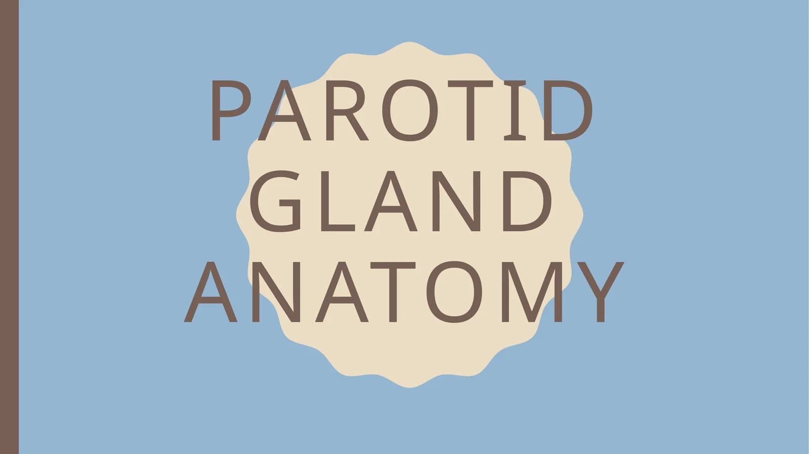 Parotid gland anatomy