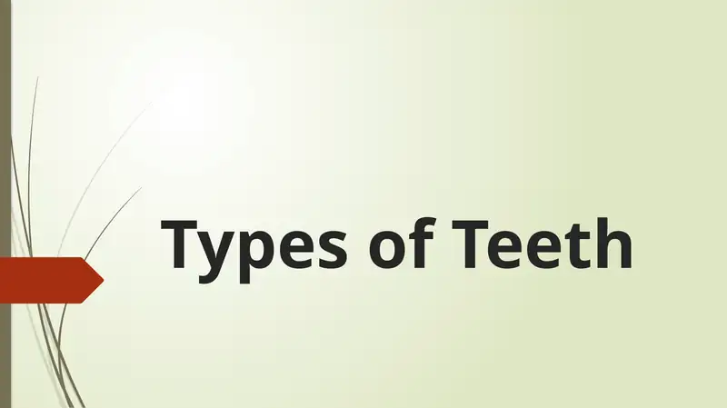 Types of Teeth