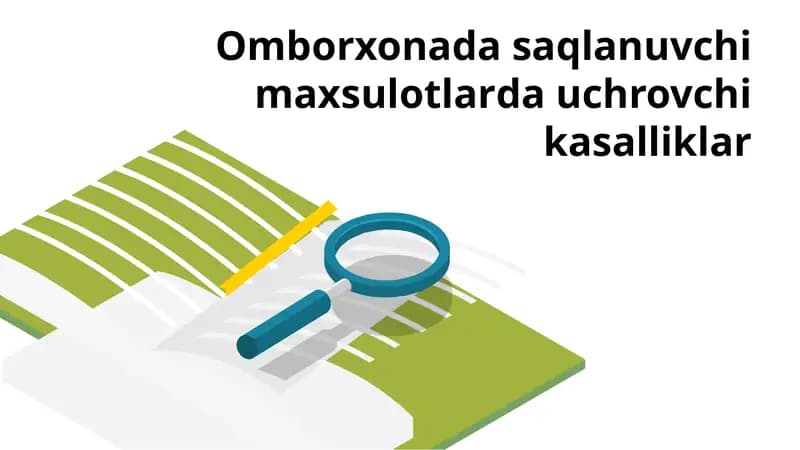 Omborxonada saqlanuvchi  maxsulotlarda uchrovchi kasalliklar
