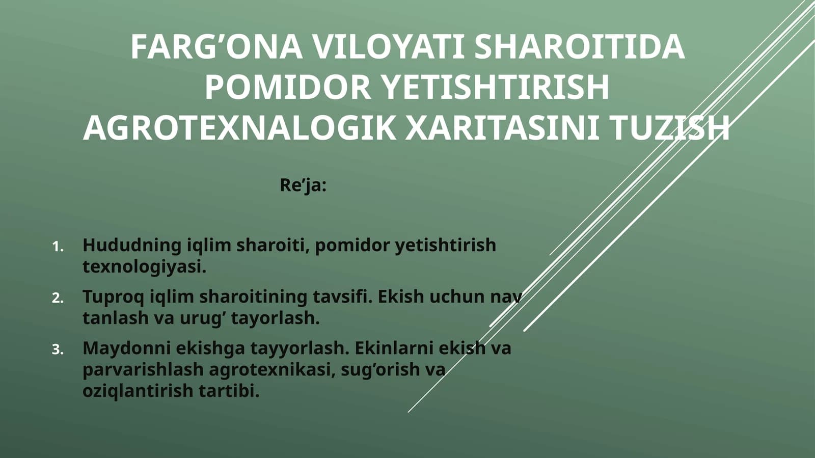 Pomidor yetishtirish agrotexnalogik xaritasi