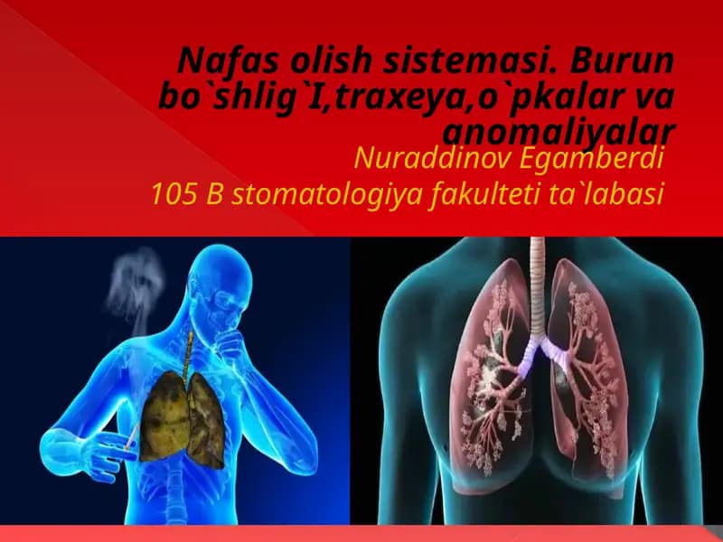 Nafas olish sistemasi